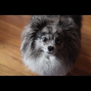 Hello from my babies